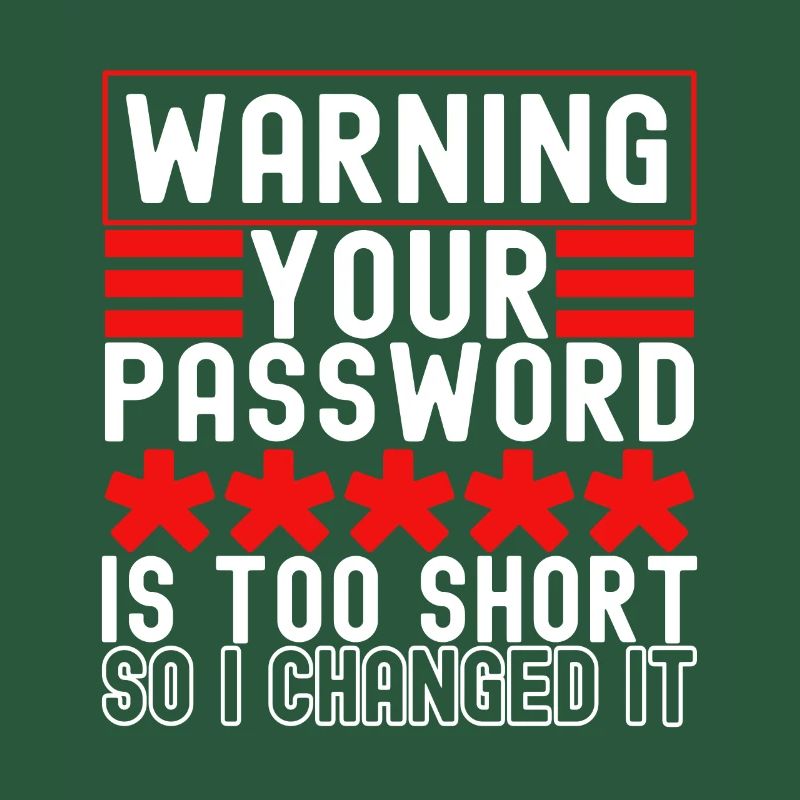 Programmeur Cybersécurité