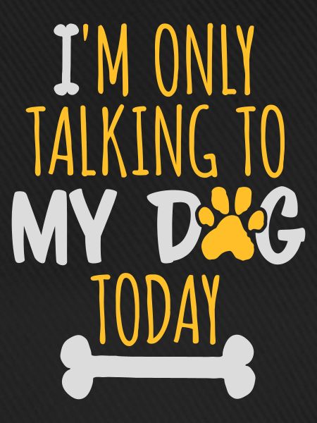 only talking to dog