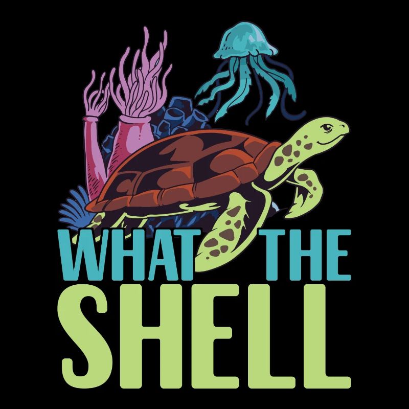 Turtle Turtle Aquatic turtle