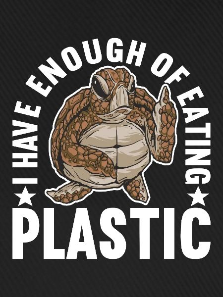 Angry Turtle