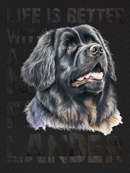 Newfoundlænder
