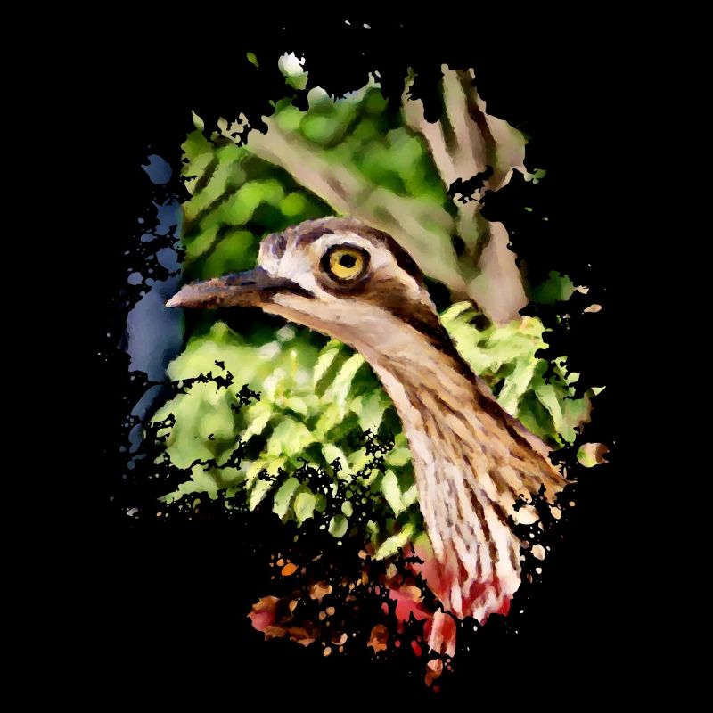 Komischer Vogel