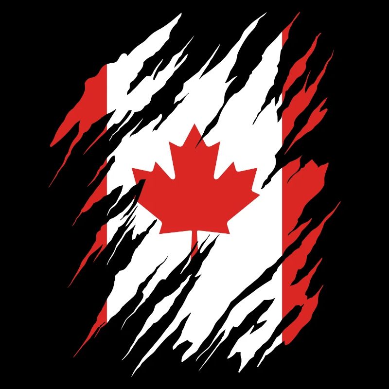 Canada Flag Maple Leaf Canadian Flag Canada