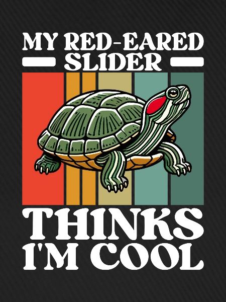 Turtle Red-eared Turtle