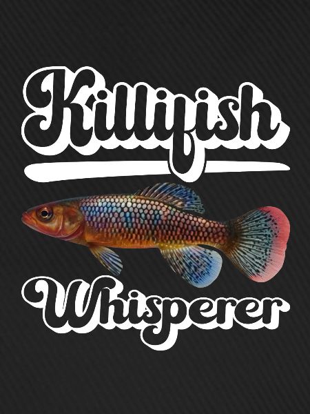 Killifish Quarium Fish