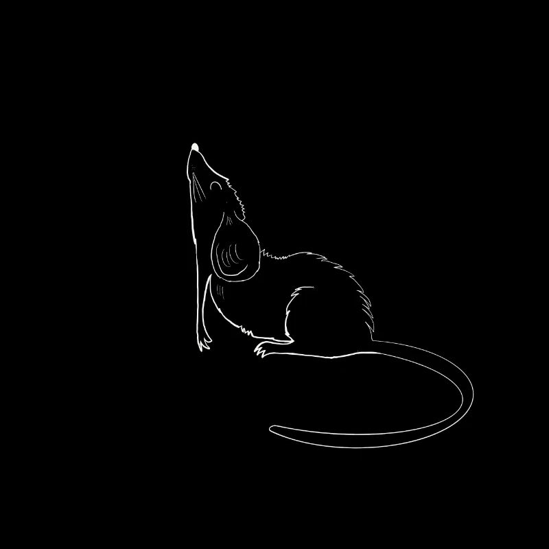 Maus