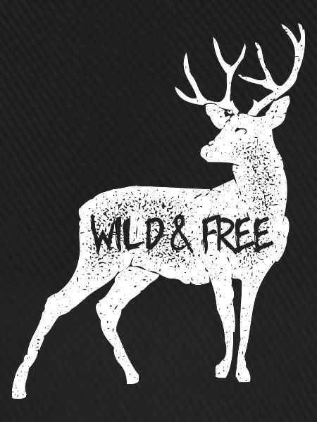 Wild & Free