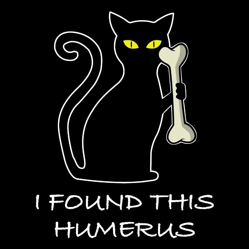 I found this humerus | Cat, Bones