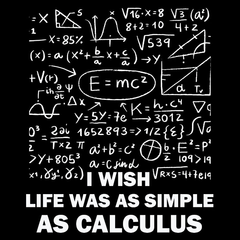 Funny Math Quote Math Teacher Math Sayings