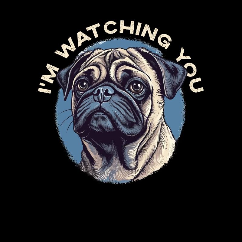 I'm watching you, pug dog