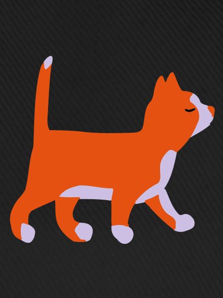 Kitten