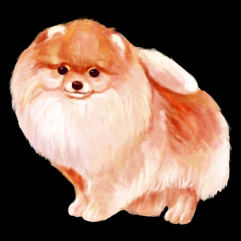 Pomeranian