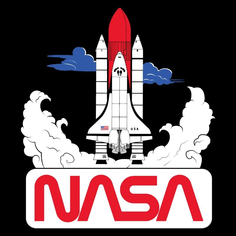 NASA Space Shuttle 3