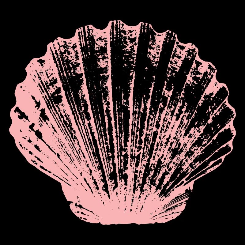 Coquille Saint-Jacques