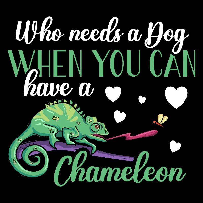 Chameleon Lizard Reptile Herpetologist
