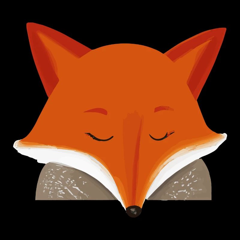 Sleeping Fox Sleeping Shirt Fox Lover