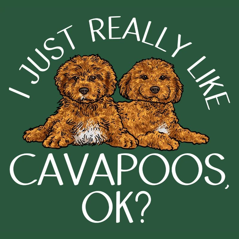 Cavapoo Cavoodle Capoodle Hund