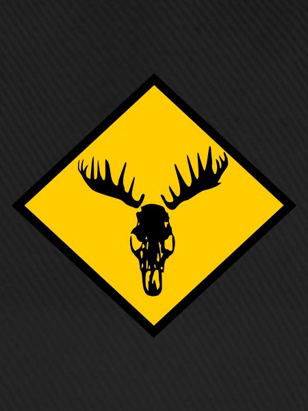 Moose Skull