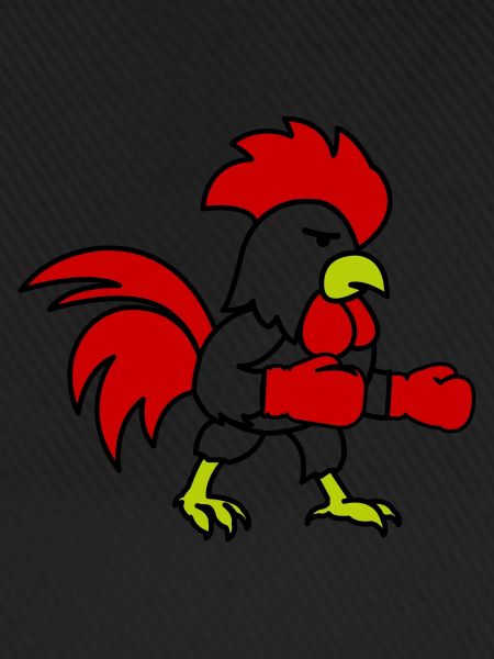 Boxeur
