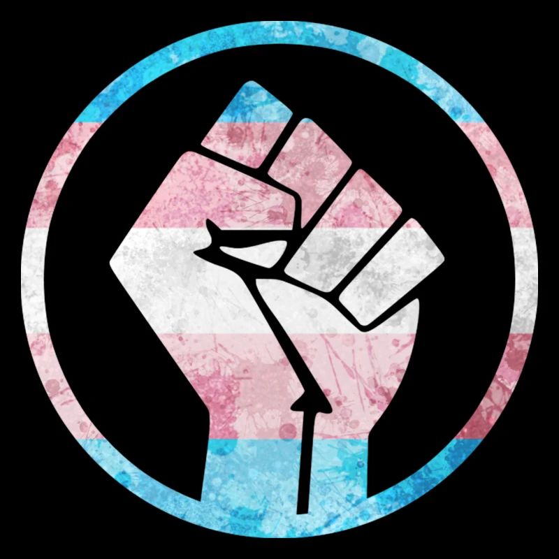 Drapeau du poing sur les transgenres