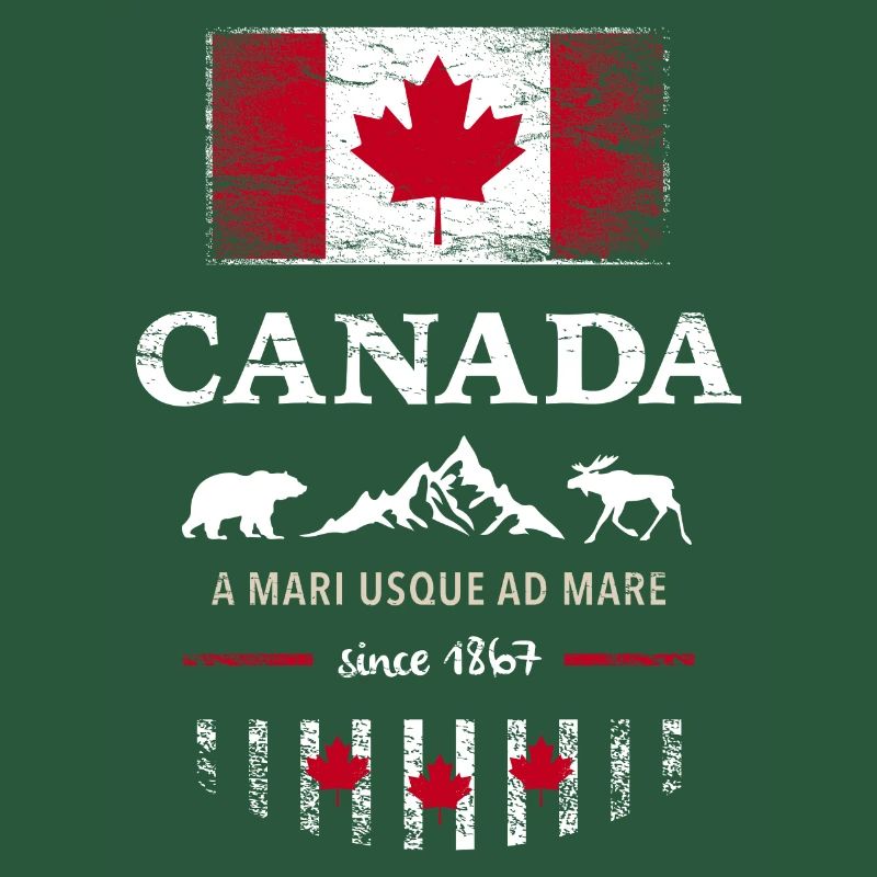 Canada Ottawa Maple Leaf Maple Leaf Canada America