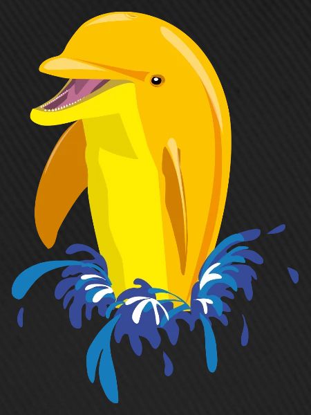 Dolphin yellow splashes