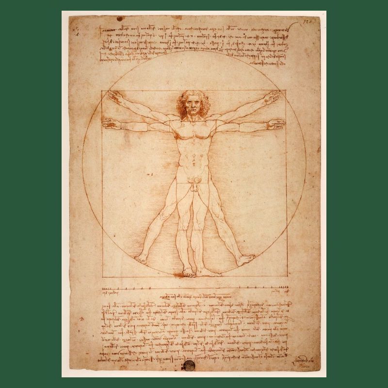 leonardo da vinci humane