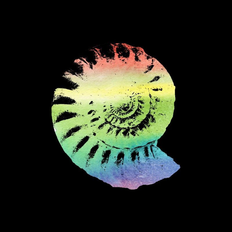 Fossil ammonite in rainbow colored gift