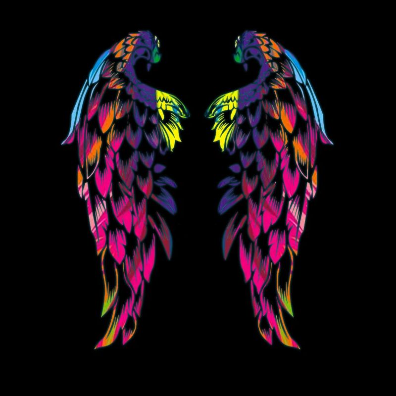 des ailes couleur