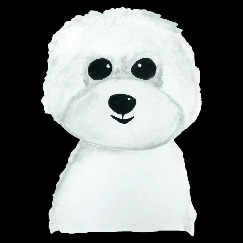 Bichon Hündchen