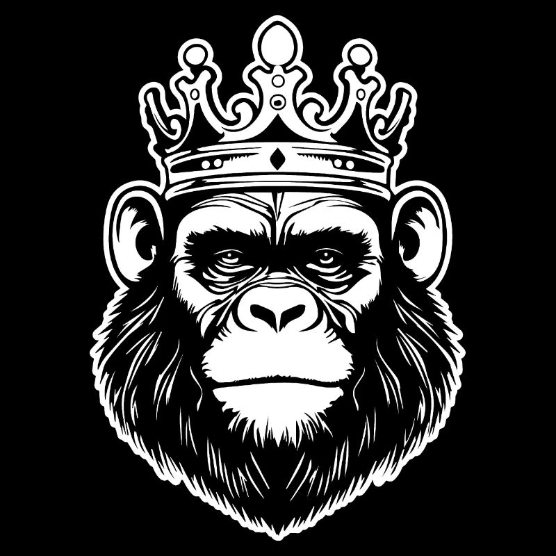 Monkey Monkey Monkey Face Jungle