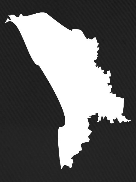 Moldova map flag