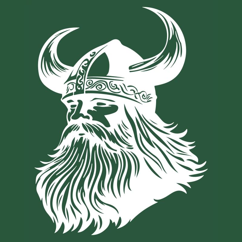 Wikinger Krieger Odin