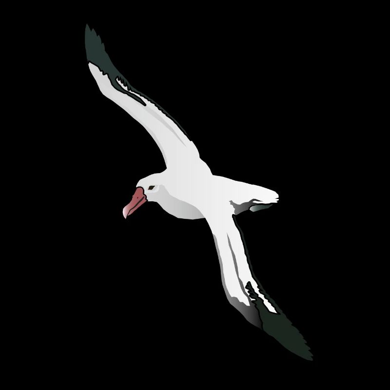 Albatros