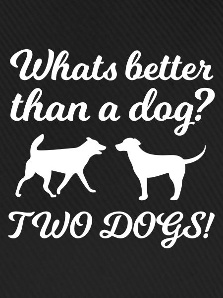 Dog Hund