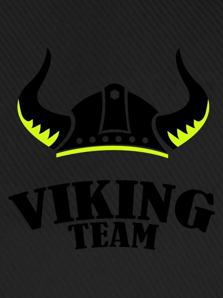 Viking Team
