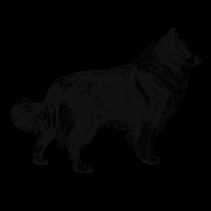 Collie