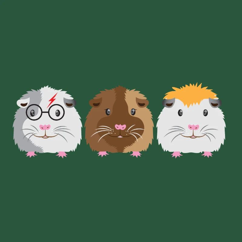 Trois petits cochons d'Inde