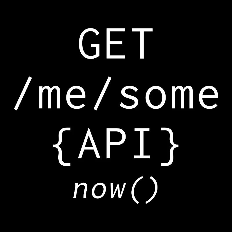 Api Programming Informatic Geschenk Spruch