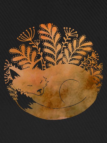 Lis - Fox