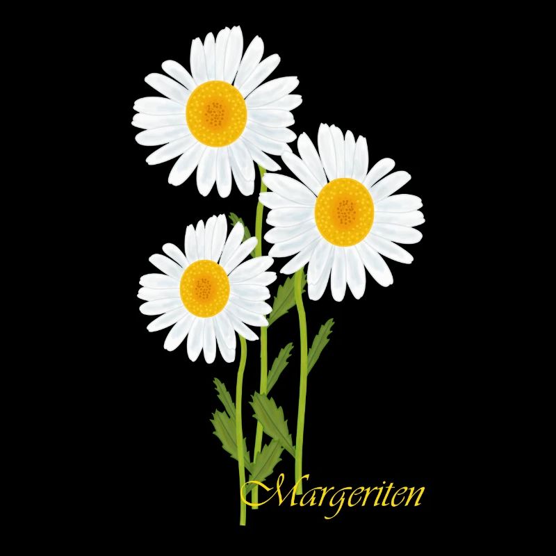 Margeriten, Blumen
