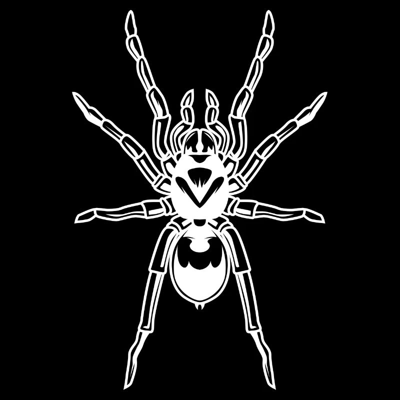 Spider Tarantula Tarantula