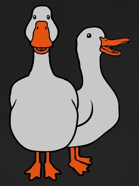 2 cute geese team