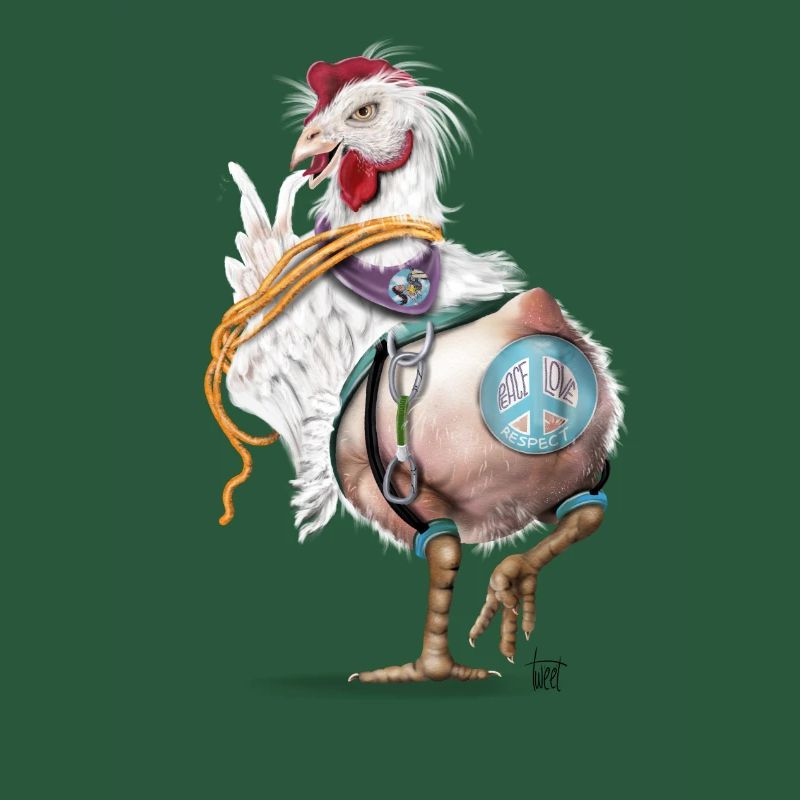 Crazy chicken