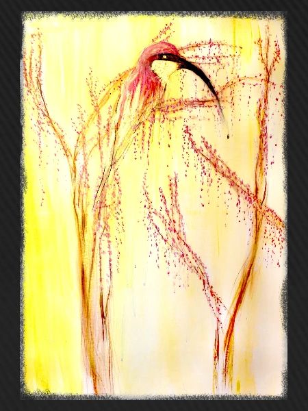 Bienenfresser