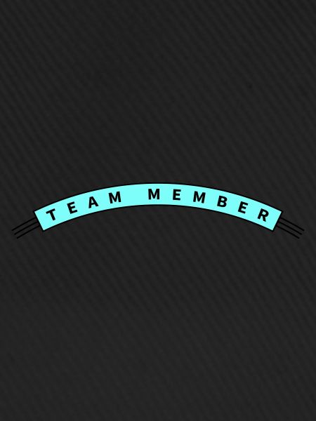 Team Member