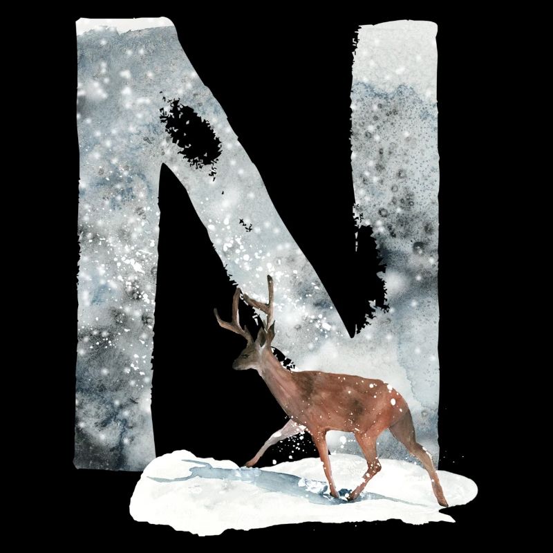 N – dekoratives Schriftzeichen – Winter
