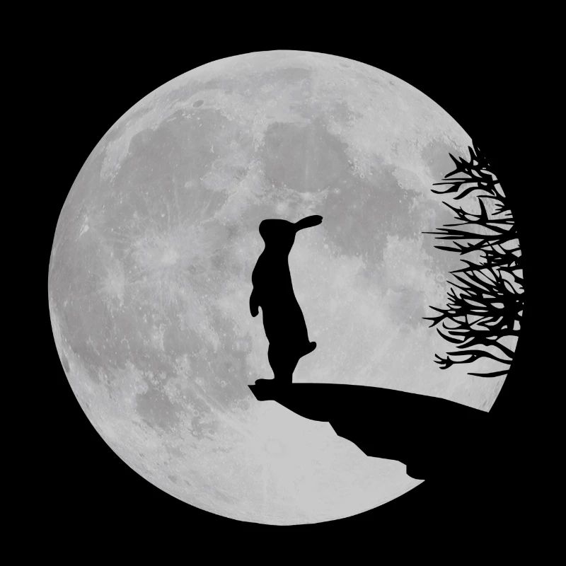 bunny lapin lièvre lapins lune jackass fullmoon