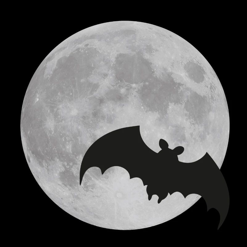 Moon bat full moon Halloween night flying fox