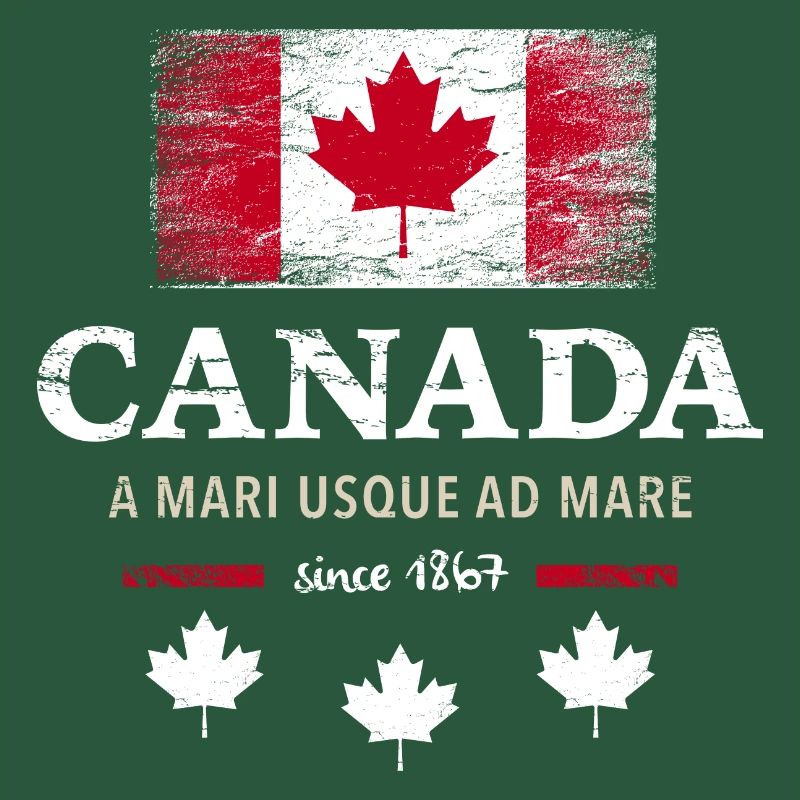 Canada Kanada Amerika maple leaf Flagge Fahne